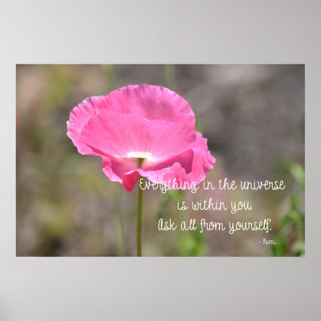 Allt Poppy Poster (Framsidan)