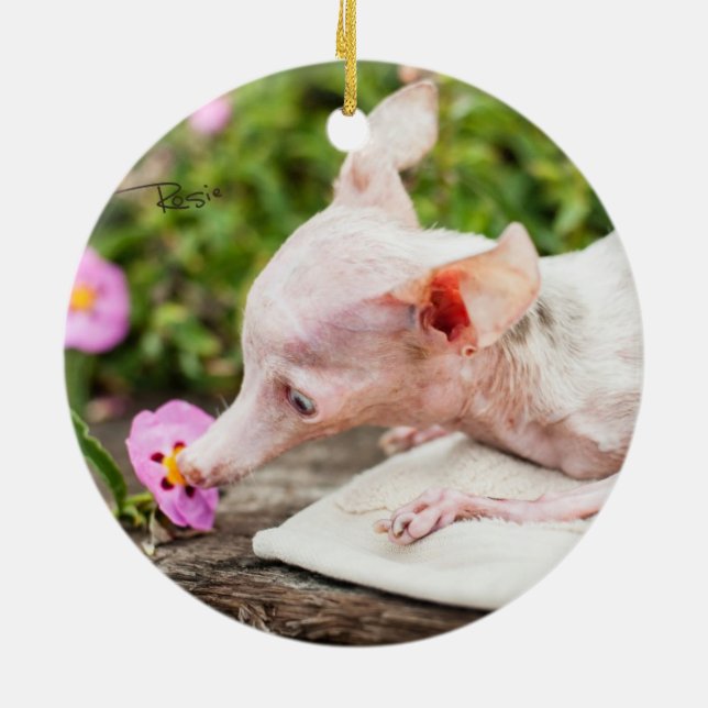 Allt Rosie Foto Ornament (Baksidan)