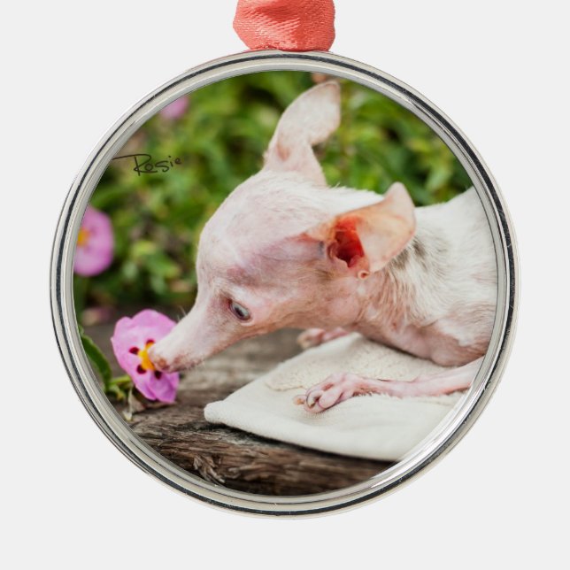 Allt Rosie Foto Ornament (Framsidan)