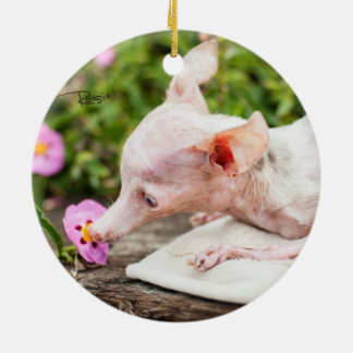 Allt Rosie fotoprydnad Julgransprydnad Keramik