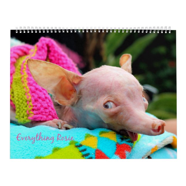 Allt Rosie kalender (Omslag)