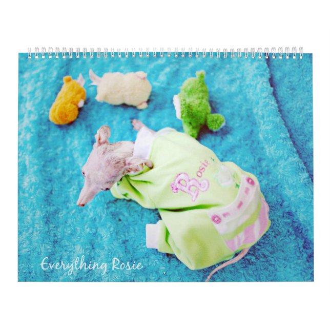 Allt Rosie kalender (Omslag)