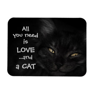 Allt som du behöver, är kärlek… och en katt/d magnet