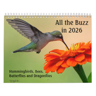 Allt ståhej 2026 Kalender