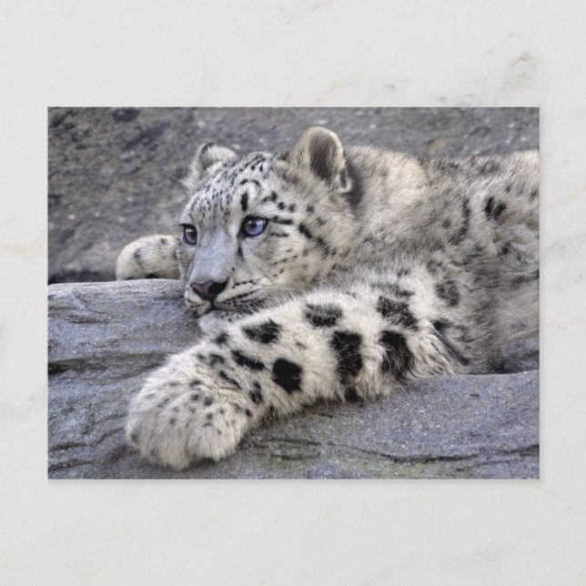 Allt uppspelat vykort (Framsida)