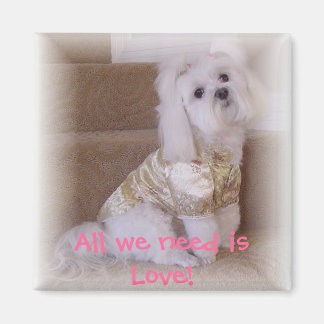 Allt vi behöver är Kärlek! Magnet