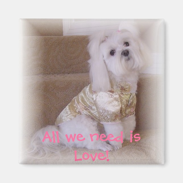 Allt vi behöver är Kärlek! Magnet (Framsidan)