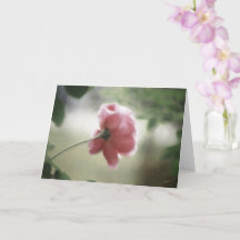 Alltförsedel eller hälsning