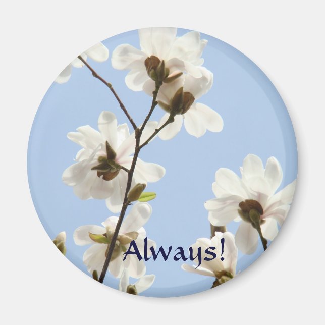 Alltid! Magnet White Magnolia Flowers Springtime (Framsidan)