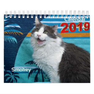 Alltid och Collectible kalender 2019 för för evi