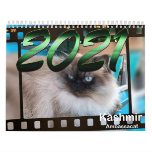 ALLTID OCH EFTER KATLENDERN KALENDER