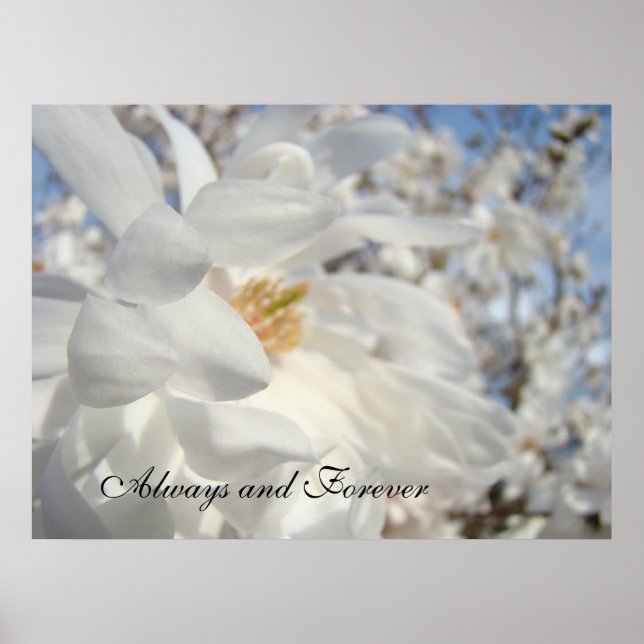 Alltid och för evigt! Konst skriver ut White Blomm Poster (Framsidan)