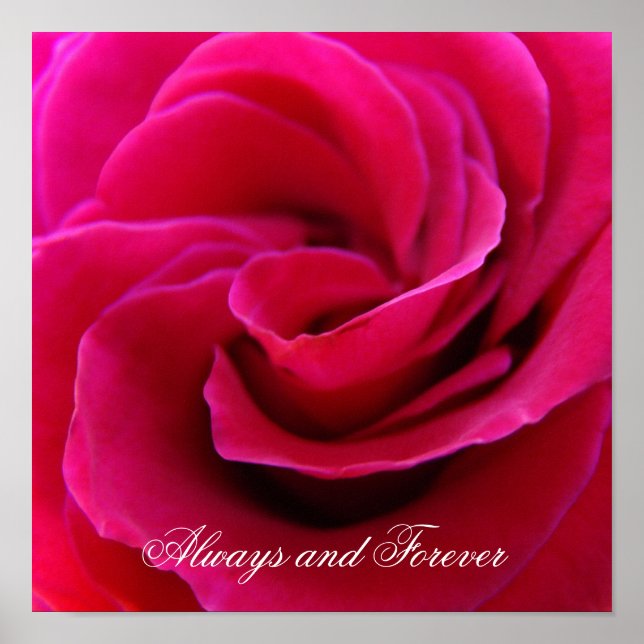 Alltid och för evigt konsttryck Rosa Ros Bröllop Poster (Framsidan)