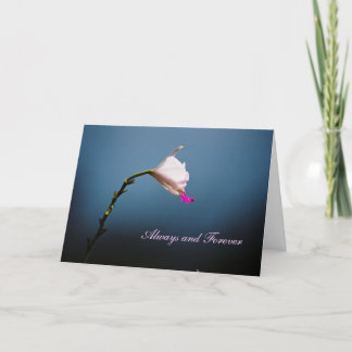 Alltid och för evigt kort