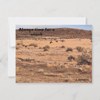 Alltid tid för ett mellanmål vykort