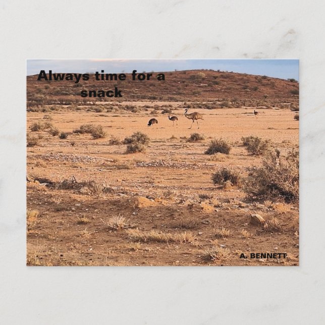 Alltid tid för ett mellanmål vykort (Framsida)