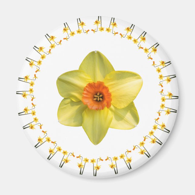 Alltid Vår Magnet (Framsidan)