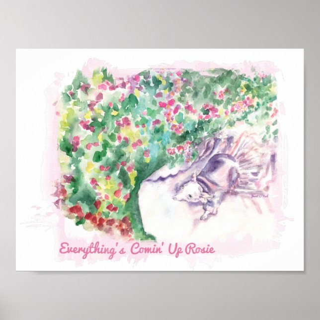 Allting är Comin'Up Rosie poster (Framsidan)