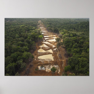 Alluvial Guld Mining. Rainforest, Guyana. Poster