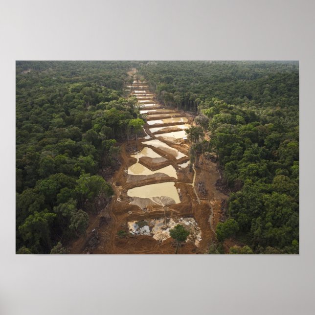 Alluvial Guld Mining. Rainforest, Guyana. Poster (Framsidan)