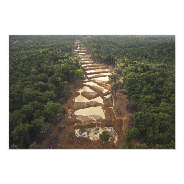 Alluvial guldutvinning. Regnskog, Guyana. Fototryck (Framsidan)