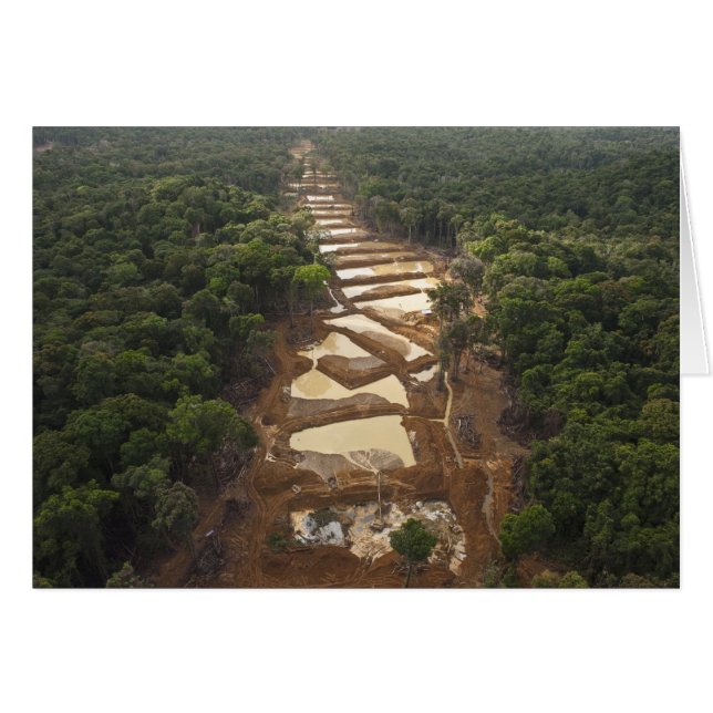 Alluvial guldutvinning. Regnskog, Guyana. Hälsningskort (Framsidan Horizontal)