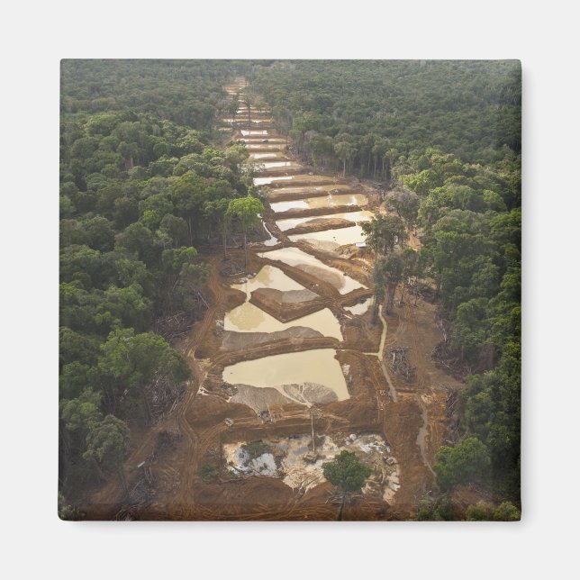Alluvial guldutvinning. Regnskog, Guyana. Magnet (Framsidan)
