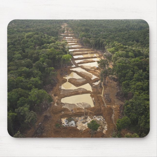 Alluvial guldutvinning. Regnskog, Guyana. Musmatta (Framsidan)