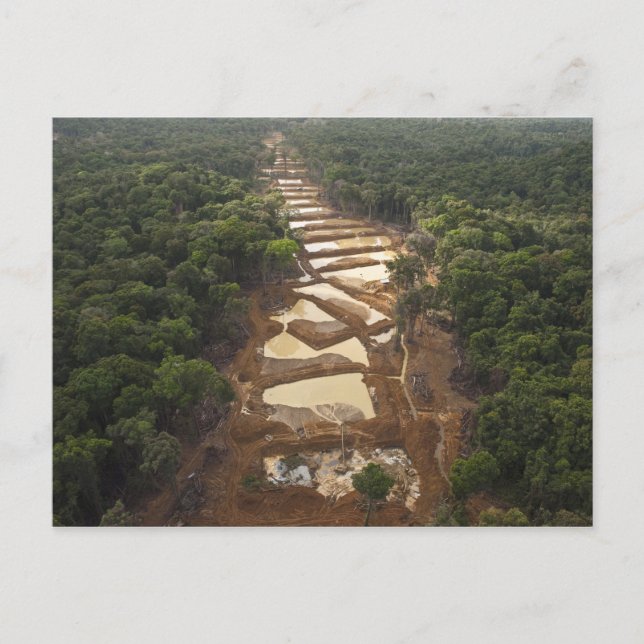 Alluvial guldutvinning. Regnskog, Guyana. Vykort (Framsida)
