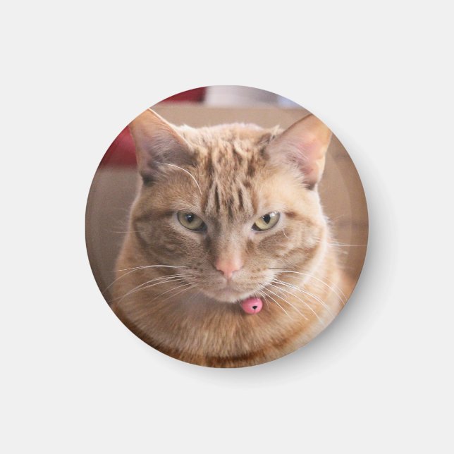 Allvarlig Magnet (Framsidan)