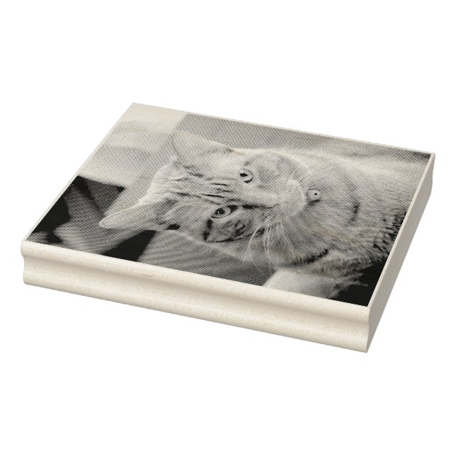 Allvarlig Stämpel (Stämpel)