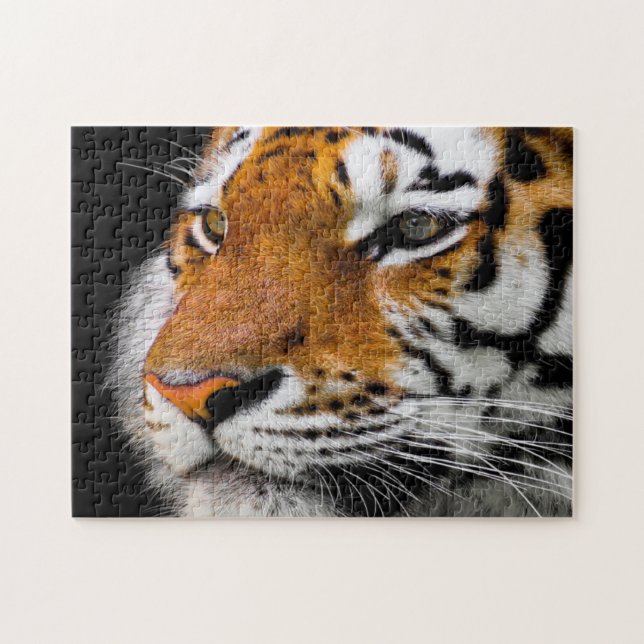 Allvarlig tiger ansikte pussel (Horisontell)