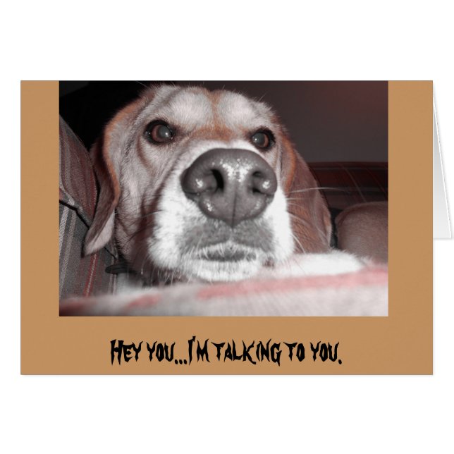 Allvarlig valp OBS kort (Framsidan Horizontal)