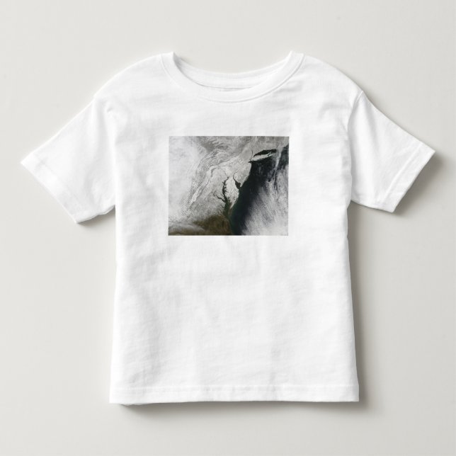 Allvarlig vinterstorm 2 t-shirt (Framsida)