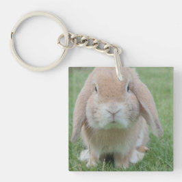 allvarligt bundet foto