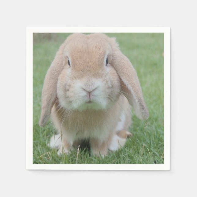 allvarligt bundet foto pappersservett (Framsidan)