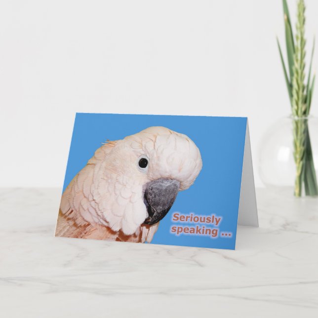 Allvarligt talande födelsedag kort (Framsida)