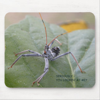 Allvarligt tittar du mig? musmatta