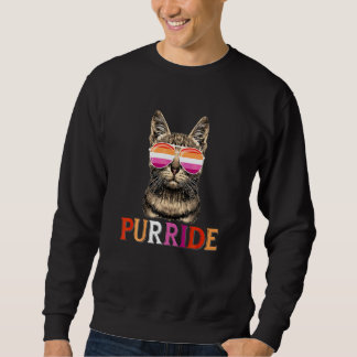 Ally Cat Lgb Gay Regnbåge Lesbisk Flagga Purride M Lång Ärmad Tröja