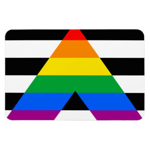 ALLY FLAG ORIGINAL -.png Magnet