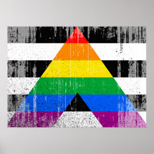 ALLY FLAGGA DISTRESSED -.png Poster