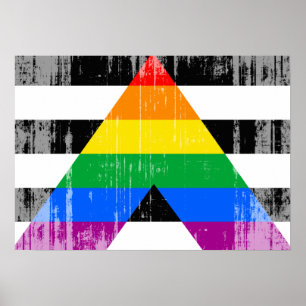 ALLY FLAGGA DISTRESSED -.png Poster