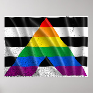 ALLY FLAGGA FLYING -.png Poster