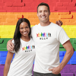 ALLY Mixed Gender Pride LGBTQIA+BIPOC T Shirt