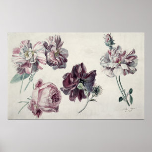 Alma-Tadema ro Poster