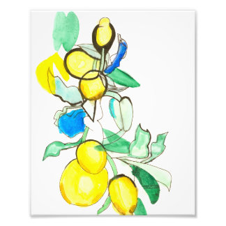 Almalfi Lemon I Skriv ut Fototryck