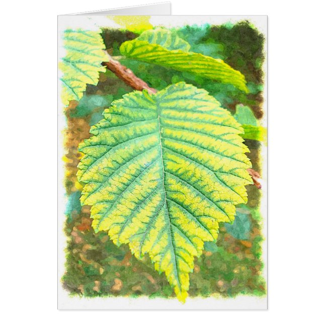 Almlöv i höst hälsningskort (Framsidan)