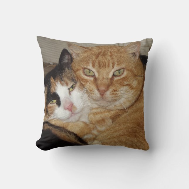 Almohada Decorativa  Gatos Kudde (Framsida)