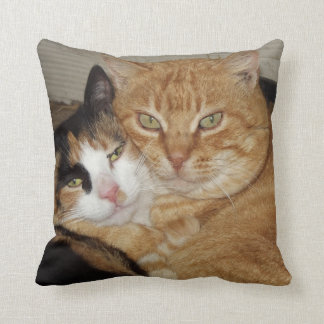 Almohada Decorativa  Gatos Kudde