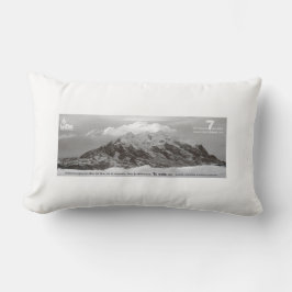 Almohada Illimani Lumbarkudde